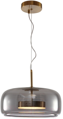 Потолочный светильник Arte Lamp Padova A2404SP-33SM