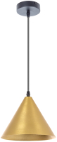 Потолочный светильник Arte Lamp David A7033SP-1BK - 