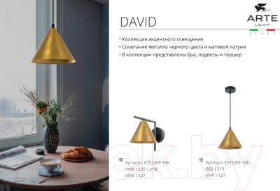 Потолочный светильник Arte Lamp David A7041SP-1BK