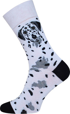 Носки Брестские Pets 4200 рис.157 (р.40-43, белый) -