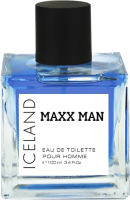 Туалетная вода Delta Parfum Maxx Man Iceland (100мл) - 
