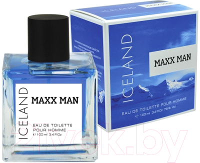 Туалетная вода Delta Parfum Maxx Man Iceland (100мл)