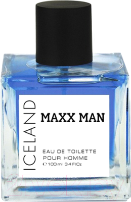 Туалетная вода Delta Parfum Maxx Man Iceland (100мл)