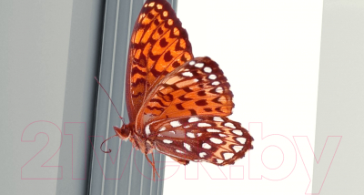 Фотообои листовые ФабрикаФресок 3D Абстракция. Бабочки. Колонны и Розы / 1033270 (300x270)