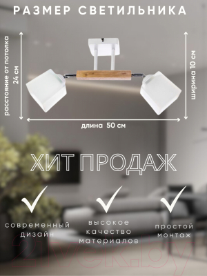 Потолочный светильник Aitin-Pro НПБ 02-2x60-101 / N4719/2