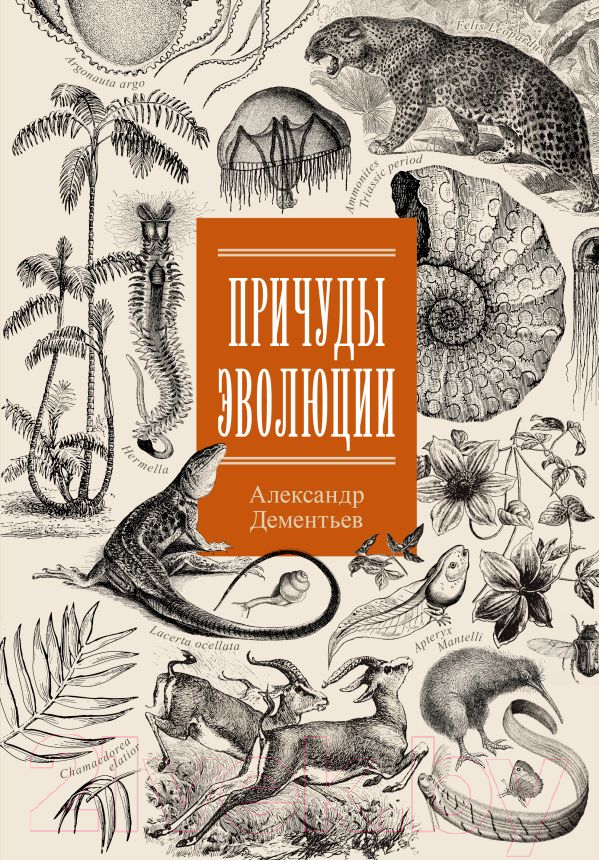 Нехудожественная книга АСТ Причуды эволюции / 9785171507466 (Дементьев А.А.)