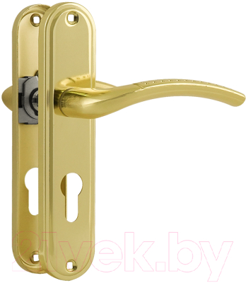 Ручка дверная Нора-М 796А-55мм (золото)