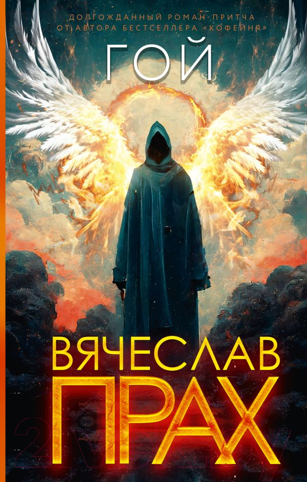 Художественная книга АСТ Гой / 9785171363123 (Прах В.) — фото 1