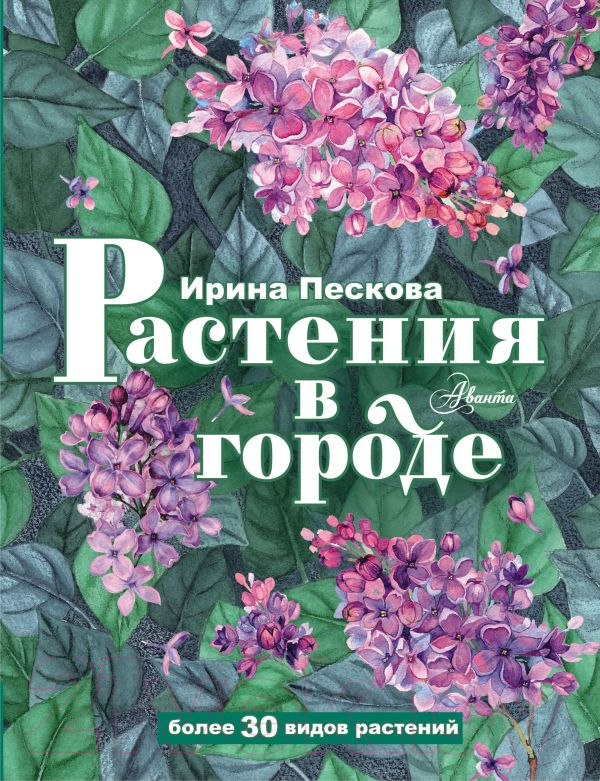 Нехудожественная книга АСТ Растения в городе / 9785171506247 (Пескова И.М.)