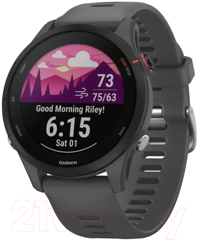 Умные часы Garmin Forerunner 255 46mm / 010-02641-10