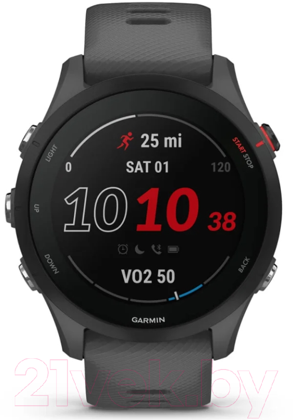 Умные часы Garmin Forerunner 255 46mm / 010-02641-10