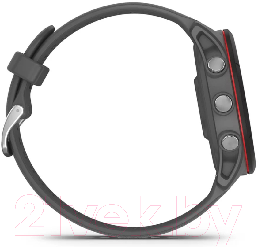 Умные часы Garmin Forerunner 255 46mm / 010-02641-10