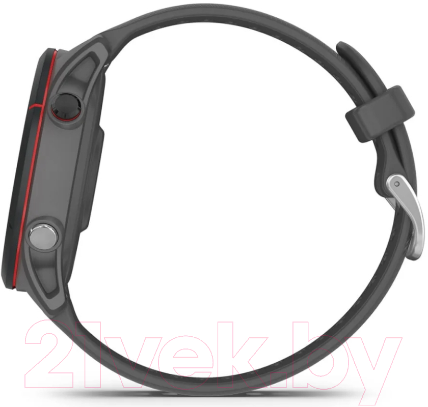 Умные часы Garmin Forerunner 255 46mm / 010-02641-10