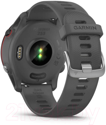 Умные часы Garmin Forerunner 255 46mm / 010-02641-10 (Slate Grey)