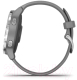 Миниатюра изображения товара Умные часы Garmin Vivoactive 4S 40mm / 010-02172-01 (Silver/Powder Gray)