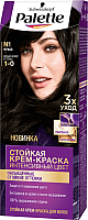 Крем-краска для волос Palette Стойкая N1 / 1-0 (черный) - 