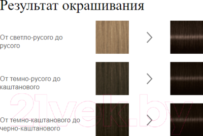 Крем-краска для волос Palette Стойкая N2 / 3-0 (темно-каштановый)