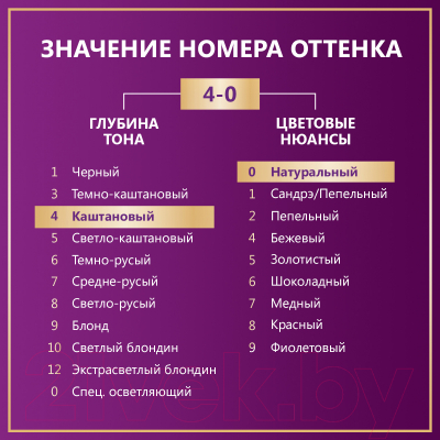 Крем-краска для волос Палетт Стойкая N3 / 4-0 (каштановый)