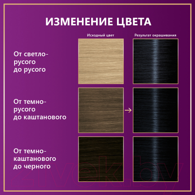 Крем-краска для волос Palette Стойкая C1 / 1-1 (иссиня-черный)