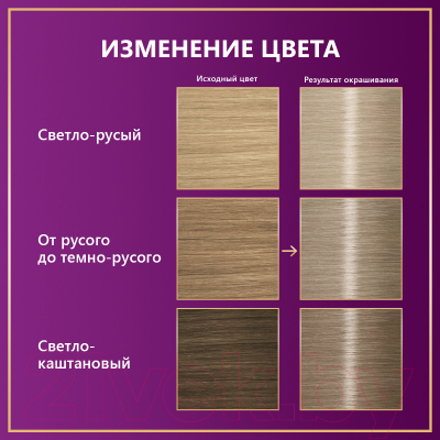 Крем-краска для волос Палетт Стойкая C10 / 10-1 (серебристый блондин)
