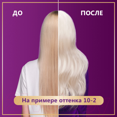 Крем-краска для волос Палетт Стойкая C10 / 10-1 (серебристый блондин)