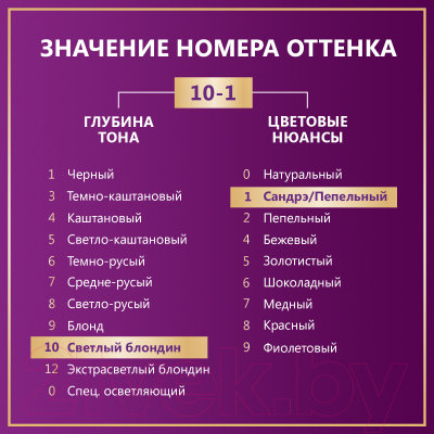 Крем-краска для волос Палетт Стойкая C10 / 10-1 (серебристый блондин)