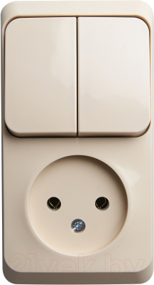 Блок выключатель+розетка Schneider Electric Этюд BPA16-205K