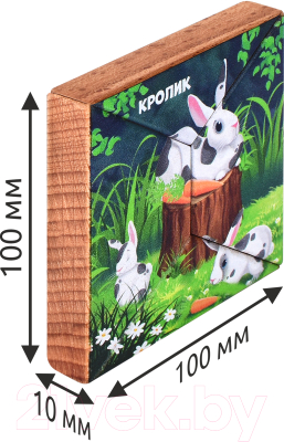 Развивающая игра Mega Toys Магнитная головоломка Кролик / 15794