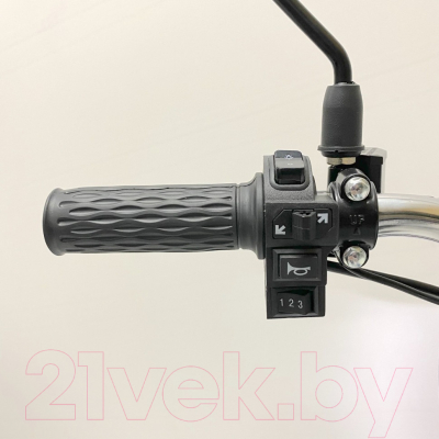 Электровелосипед Green Camel Транк 18 V8 Pro R18 250W 60V 10Ah