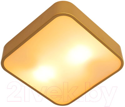 Потолочный светильник Arte Lamp Cosmopolitan A7210PL-2GO