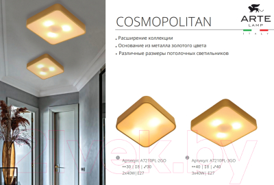 Потолочный светильник Arte Lamp Cosmopolitan A7210PL-2GO