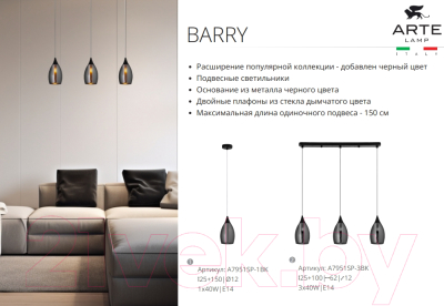 Потолочный светильник Arte Lamp Barry A7951SP-1BK