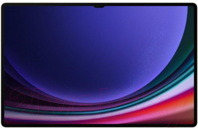 Планшет Samsung Galaxy Tab S9 Ultra 5G 12GB/256GB / SM-X916 (бежевый)