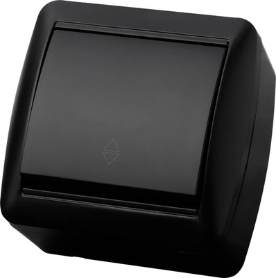 Выключатель TDM Селигер / SQ1818-0311 (графит) -
