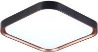 Потолочный светильник Ambrella FZ1271 BK/PGD (черный/розовое золото) - 