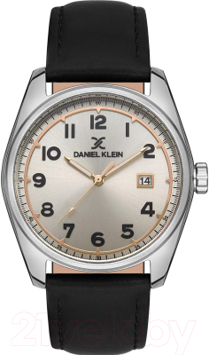 Часы наручные мужские Daniel Klein 13383-2