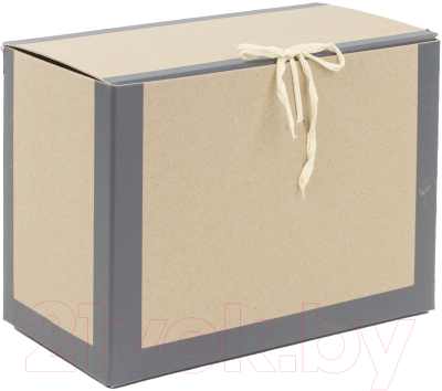 Коробка архивная Staff 112160