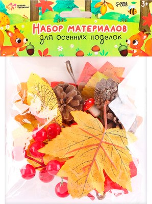 

Набор для творчества, Материалы для осенних поделок. Листья, шишки / 9512802
