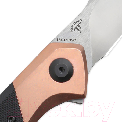 Нож складной Kizer Manganas Grazioso V4572N1