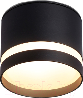 Точечный светильник Ambrella TN6572 BK (черный)