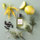 Миниатюра изображения товара Парфюмерная вода Essential Parfums Nice Bergamote (100мл)
