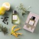 Миниатюра изображения товара Парфюмерная вода Essential Parfums Nice Bergamote (100мл)