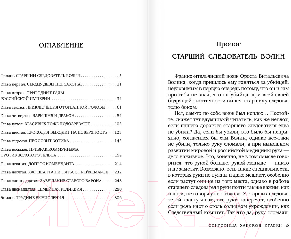 Художественная книга АСТ Сокровища ханской ставки / 9785171594718 (Анонимус) — фото 2