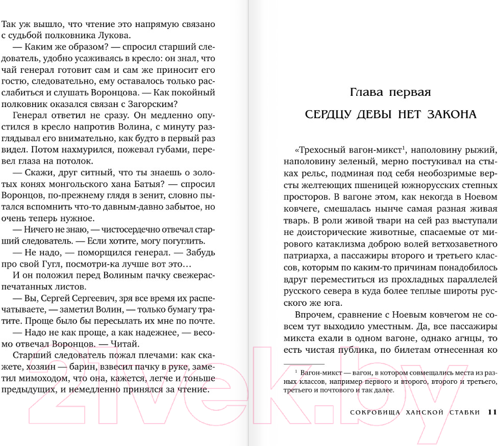 Художественная книга АСТ Сокровища ханской ставки / 9785171594718 (Анонимус) — фото 5