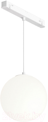 Трековый светильник Maytoni Luna TR039-4-5W3K-WW-DS-W