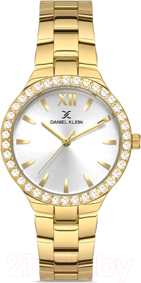 Часы наручные женские Daniel Klein 13205-3