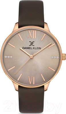 Часы наручные женские Daniel Klein 13245-4