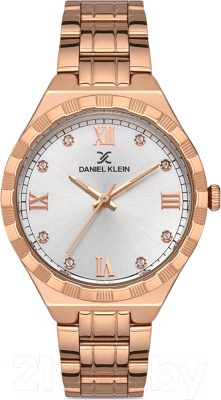 Часы наручные женские Daniel Klein 13256-3