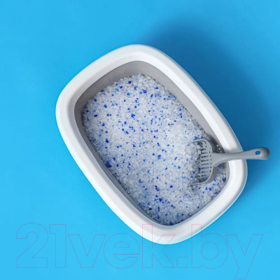 Наполнитель для туалета Naturalitter Без запаха силикагелевый голубой / NLS5B (5л/2кг)