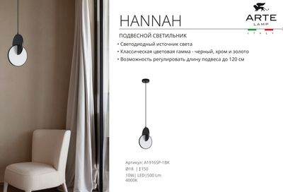 Потолочный светильник Arte Lamp Hannah A1916SP-1BK